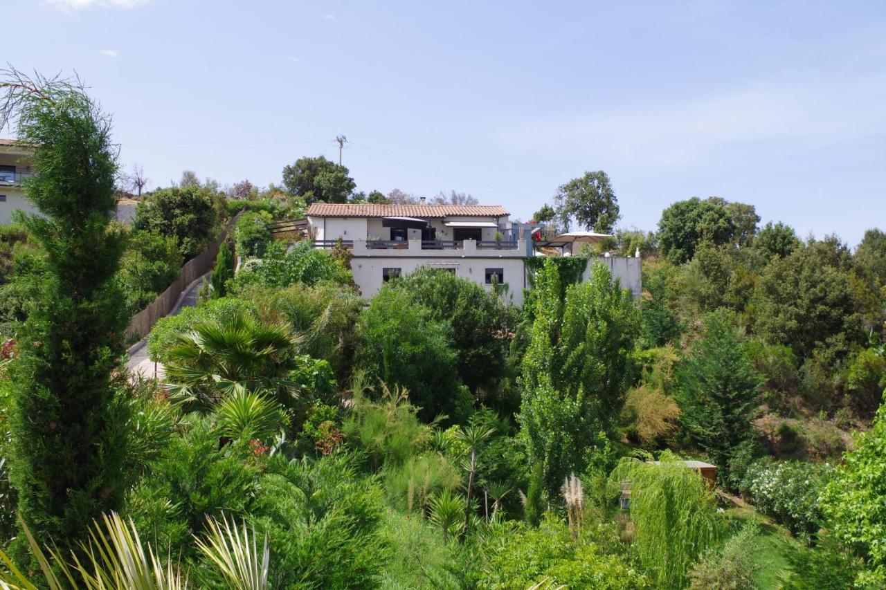 Appartement F2 Avec Terrasse De 35 M2 Bomorto - Porticcio Porticcio  Exterior photo